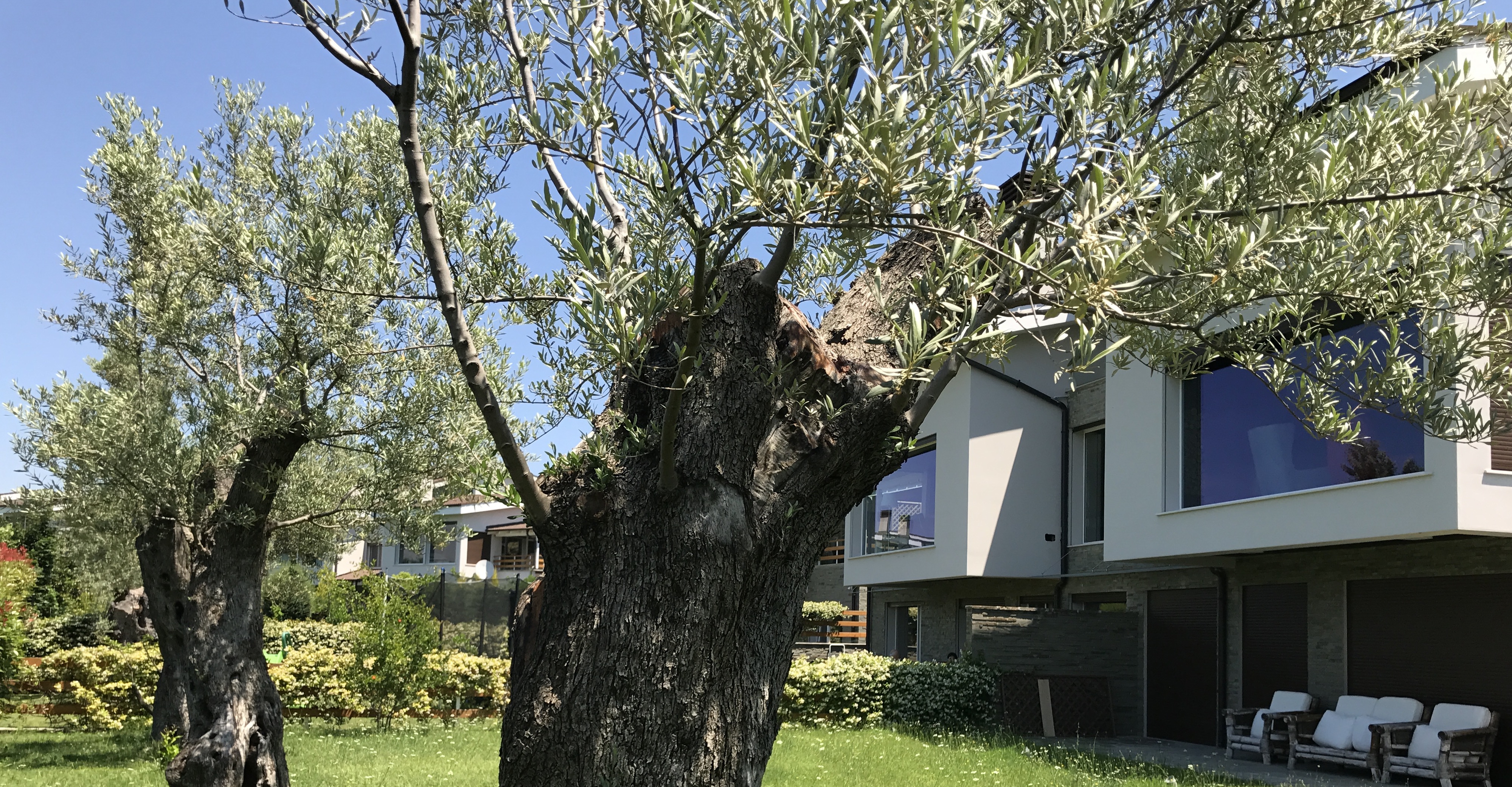 Real Estate Listings & Homes for Sale Alma Real Estate